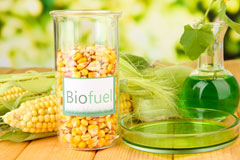 Netherthorpe biofuel availability